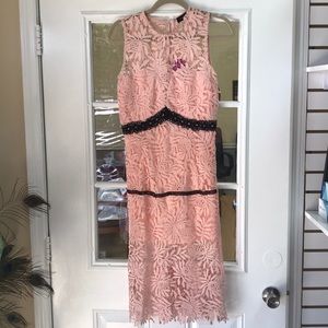 Peach lace dress with black trim